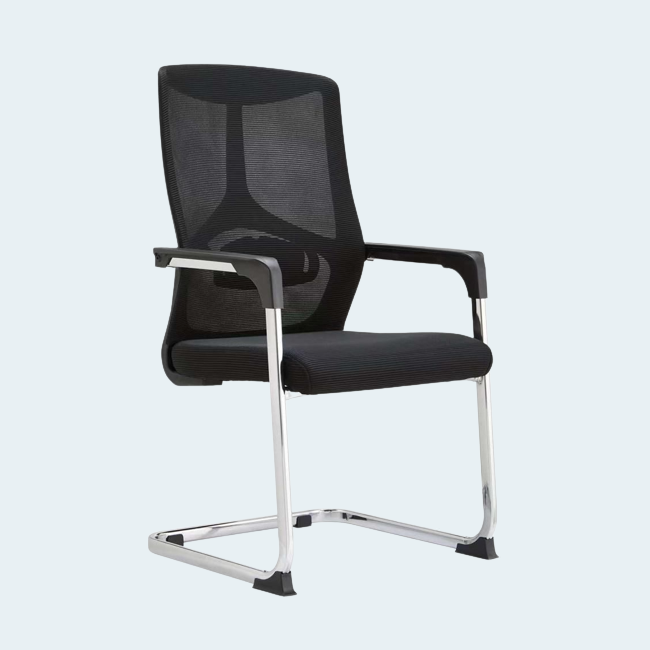 Augius Visiting Chair