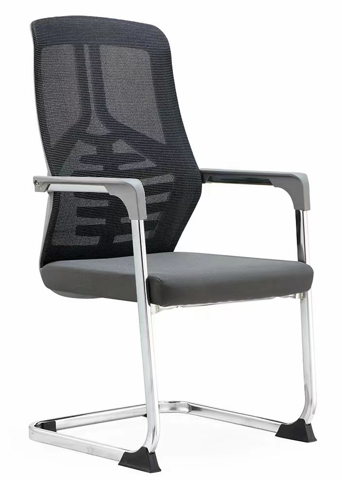 Augius Visiting Chair